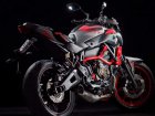 Yamaha MT-07 Moto Cage